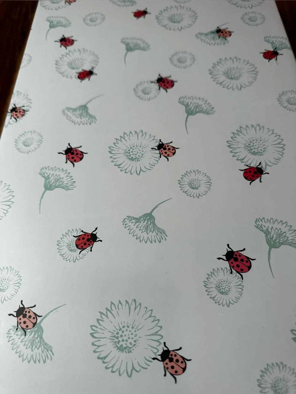 Decorative Ladybug Floral Storage Box in White and Pink